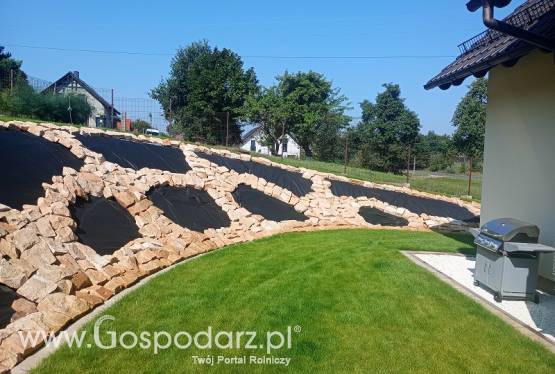 Dzikówka ogrodowa na skarpy oczko wodne kamień ogrodowy do ogrodu