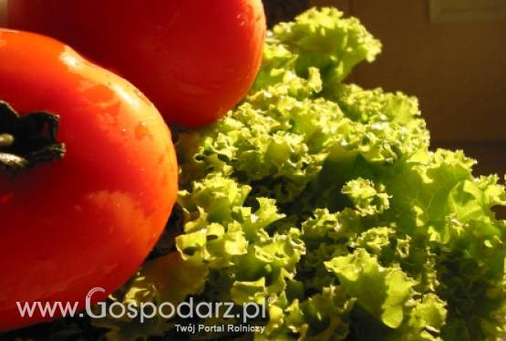 Rośnie popyt na żywność ekologiczną