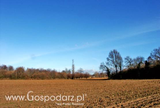 Leszek Świętochowski – nowym Prezesem Agencji