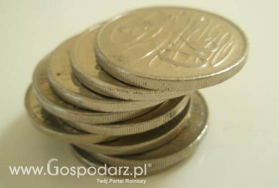 Co w końcu z tymi stawkami dla lekarzy weterynarii?