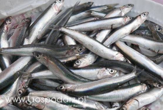 Rolnictwo i rybołówstwo w prezydencjach Polski, Danii i Cypru