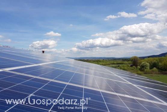 Poszukujemy gruntów po Fotowoltaikę dolnoślaskie lubuskie wielkopolska