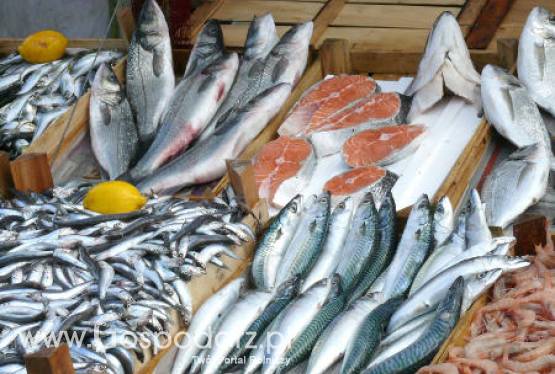 Egipt  - Kto na tym wszystkim naprawdę traci