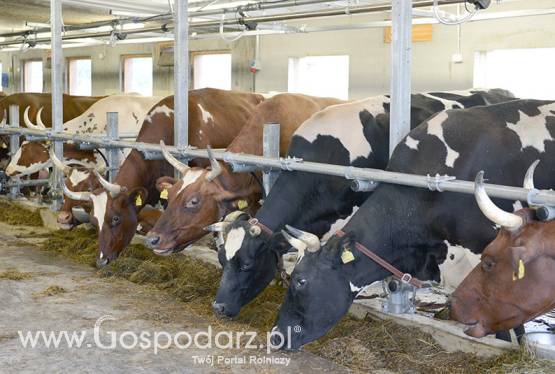 Wygrodzenie z rura karkową z szybkim spuszczaniem