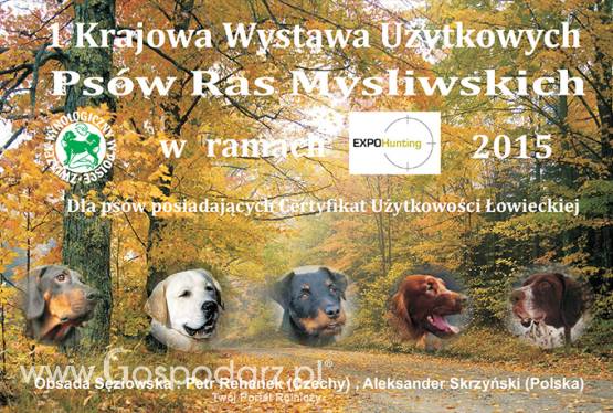 I Krajowa Wystawa Użytkowych Psów Ras Myśliwskich