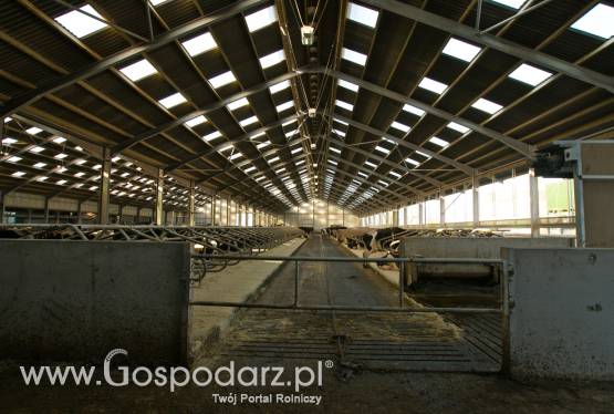 Budynki rolnicze Robinsons