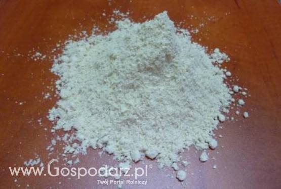 Nawóz wapniowo - magnezowy Dolomit (0-2mm)