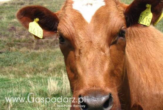 Wizyta na targach FARMA