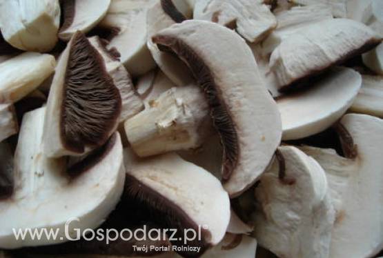 Europejski rynek pieczarek