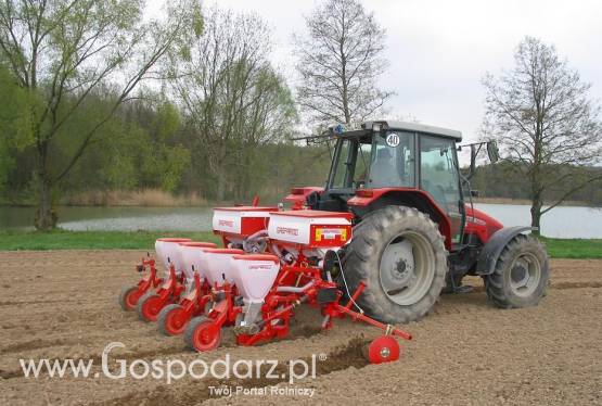 Siewnik SP Maschio Gaspardo
