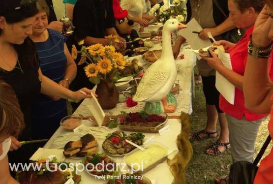 XI Święto Gęsi w Biskupcu Pomorskim