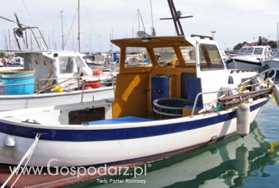 Od 1 sierpnia ARiMR wznawia przyjmowanie wniosków o przyznanie pomocy na dostosowanie floty rybackiej do możliwości połowowych