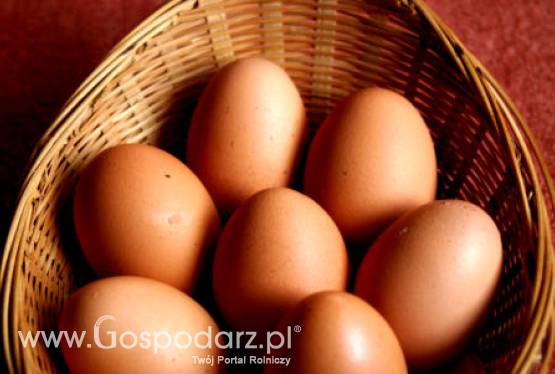 Ceny jaj mogą drastycznie wzrosnąć