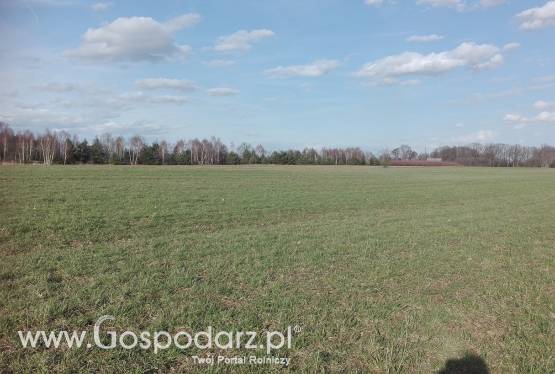 ziemia rolna
