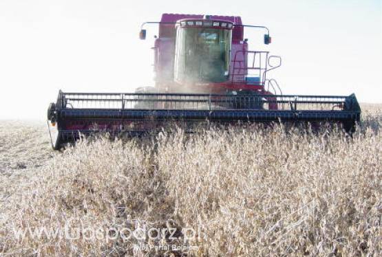Jeszcze przez 3 dni można składać wnioski o przyznanie wsparcia na Modernizację gospodarstw rolnych