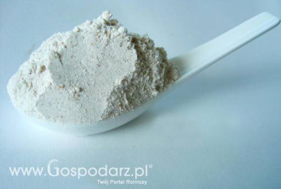 Chiny – Rosnący import przetworów mlecznych