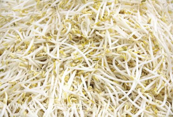 Holandia: Odkryto bakterię EHEC na krajowych warzywach