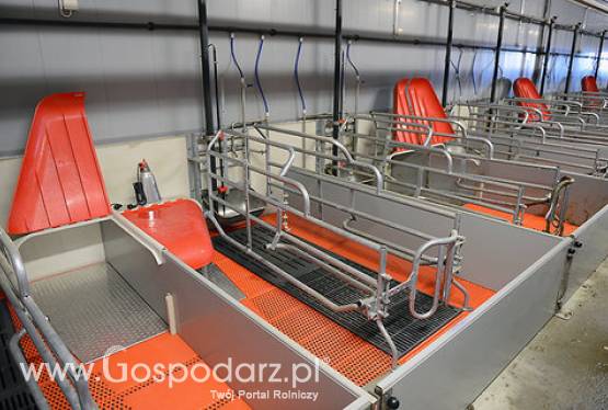 Sektor oproszeń pellon