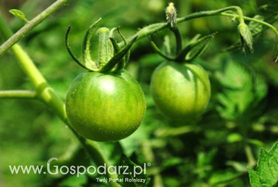 Spotkanie polskiej Prezydencji z nowym Przewodniczącym Komisji Kodeksu Żywnościowego FAO/WHO