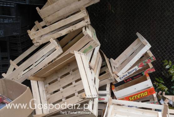 skrzynki drewniane