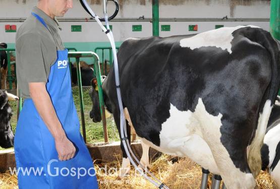 Dojarka rurociągowa POLANES
