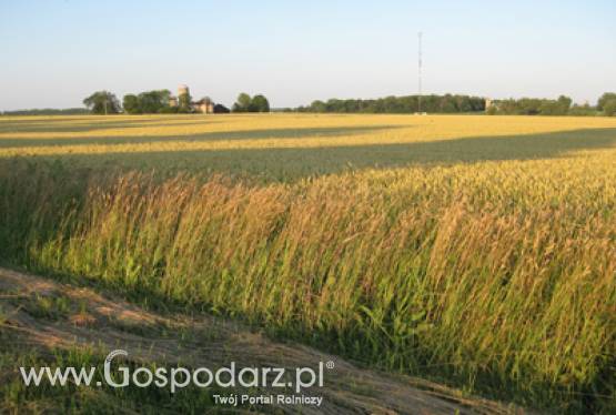 Nowe możliwości powiększenia gospodarstw rolnych