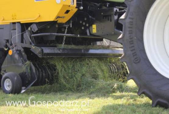 Polskie Zboża i Zielone Agro Show w ten weekend!