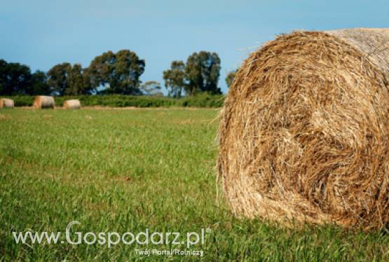 35 Konferencja Rolnicza Ameryka Północna - Unia Europejska po raz pierwszy w Polsce