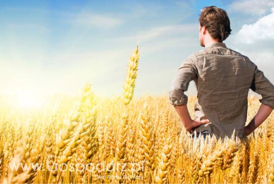 preferencyjny kredyt dla rolników / konsolidacje / oddłużenia