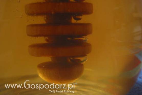 Polski i litewski miód oznaczony certyfikatem Unii Europejskiej?