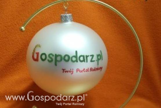 Tak troszeczkę świątecznie...