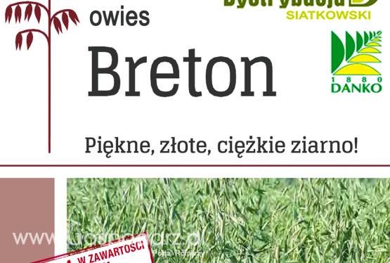 Kwalifikowane nasiona siewne owies Breton C/1