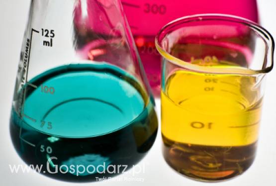 Mięso z próbówki? Czy to możliwe?