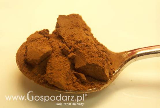 Kakao osiągnęło najwyższą cenę od 32 lat i nadal będzie drożeć