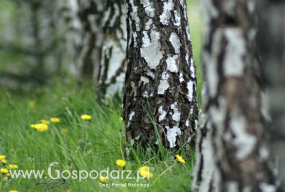 14 listopada ARiMR zakończyła przyjmowanie wniosków o przyznanie pomocy z działania Zwiększanie wartości dodanej..