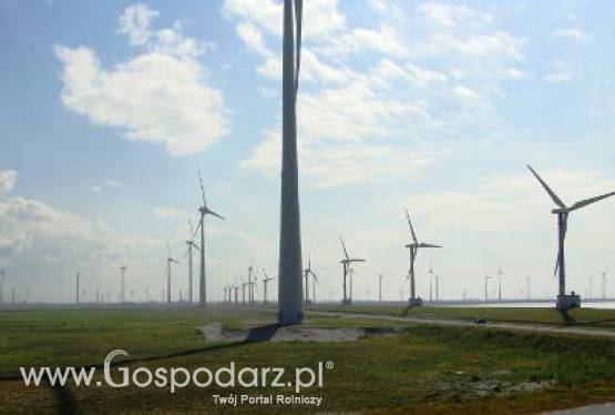 Elektrownie wiatrowe opłacalnym biznesem?