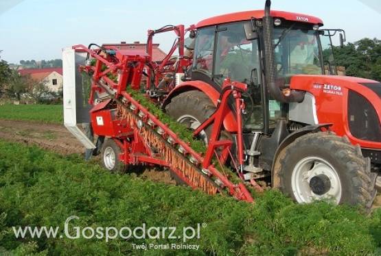 Sator - Kombajny do marchwi - XXL