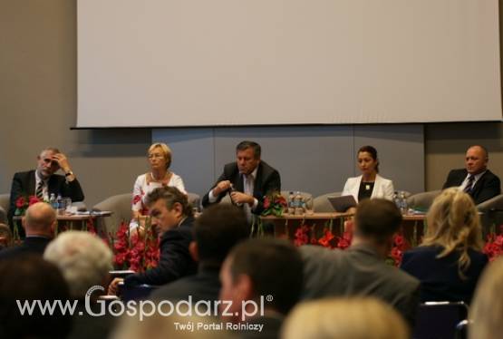 Narada Ambasadorów RP. Polskie placówki dyplomatyczne a wsparcie promocji gospodarczej