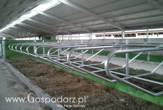 Modernizacja obór