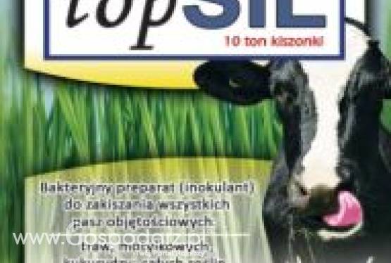 Zakiszacz biologiczny