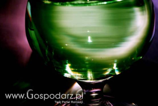 Polska prezydencja w Unii Europejskiej, czyli nasza wódka za granicą