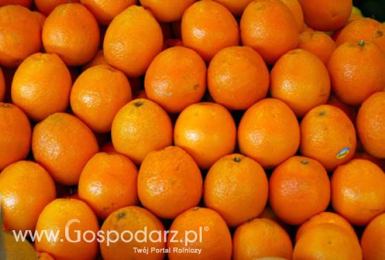 Oznakowania na opakowaniach owoców i warzyw eksportowanych z Polski do Federacji Rosyjskiej