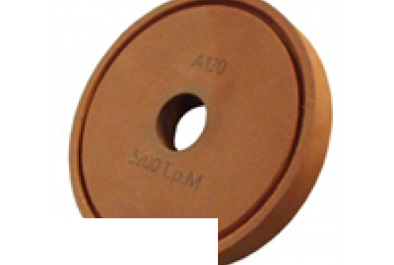 Tarcza polerska WG1510