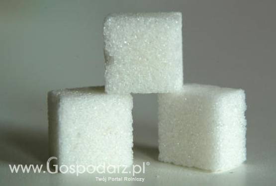 Rosja – Wzrost produkcji cukru