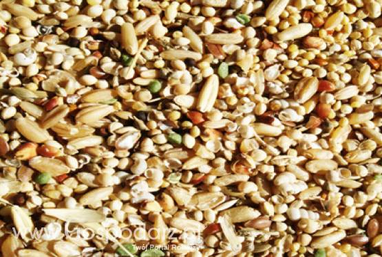 Dopłaty do materiału siewnego – uwaga producenci rolni!