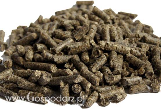 Wysłodki buraczane suche granulowane od 1 tony