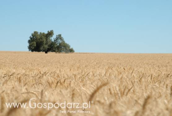 Promocja produktów lokalnych na tle barier w sprzedaży - relacja ze szkolenia