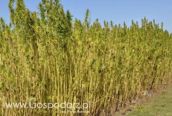 Szukamy rolników do współpracy