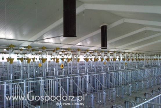 Paszociągi linowo – krążkowe