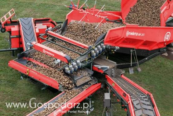 Kosz przyjęciowy MH 241 DEWULF